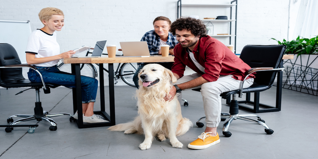 Mi porto il cane al lavoro Mi porto il cane al lavoro