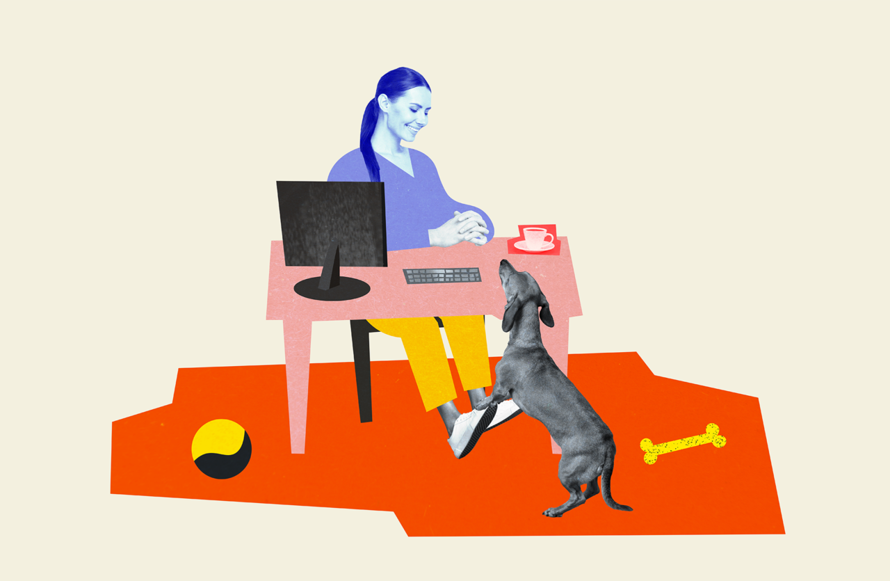 Animali domestici sul posto di lavoro: bizzarria o welfare? Animali domestici sul posto di lavoro: bizzarria o welfare?